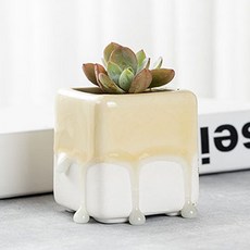 Juang Objet Kari 小型不規則花盆, 隨機出貨, 1個