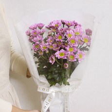 코코도르팜 생화 소국 꽃다발, 혼합색상