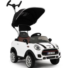 파파야나인 더 뉴 미니쿠퍼S 푸쉬카, 화이트, 1개