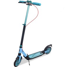 DOCTORBIKE 青少年成人用懸吊式煞車滑板車, 薄荷, 1個