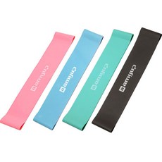 바이비드 홈 트레이닝 4강도 루프 밴드 세트, 핑크, 블루, 그린, 그레이