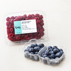 좋은하루 생생 산딸기 200g + 블루베리 200g 세트, 1세트