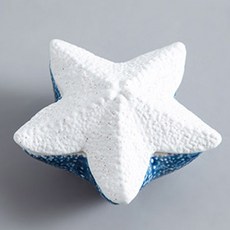 Juang Objet Éclat 珠寶托盤, 05 天空之星, 1個