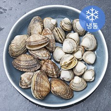 삼삼해물 국산 데친바지락 + 동죽 (냉동), 300g, 1개