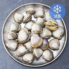 삼삼해물 국산 데친동죽 (냉동), 300g, 1개