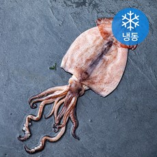 피시원 국내산 손질 오징어 (냉동), 200g(중,1미), 1개