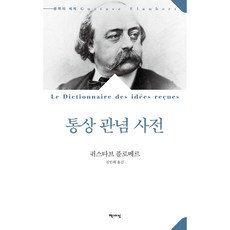 통상 관념 사전, 책세상, 구스타브 플로베르