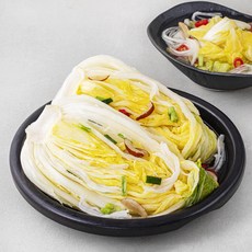 선도농협 선장 아산맑은 백김치, 4.5kg, 1개