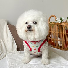 바이담수미 강아지옷 하트 한 스푼 나시, 화이트