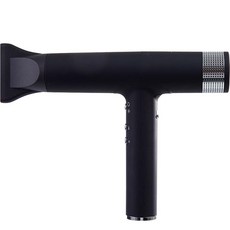 미니홈 끌림 익스트림 파워 BLDC 헤어 드라이어 2000W, 블랙, TAD-300