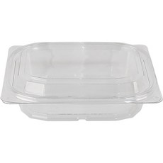 Bloom at home SCH206 大型沙拉碗 透明含蓋套組, 1套