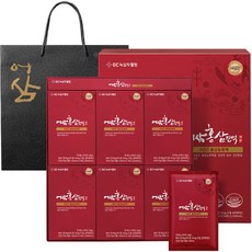 어삼 GC녹십자웰빙 홍삼진액 24p, 1.2L, 1개