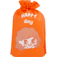 도나앤데코 선물 포장 부직포백 26 x 36cm 5p, 3호 004 Happy day 소녀 오렌지, 1개