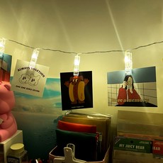 PARTYSHOW LED夾式花環 20燈 3m 2入, 透明暖光