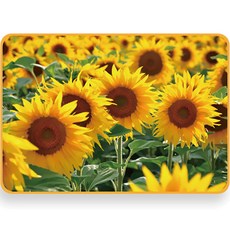 HICKIES 防潑水野餐墊, 向日葵