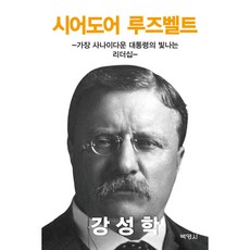 西奧多·羅斯福： 最具男子氣概總統的閃耀領導力, 姜成學, 博英社