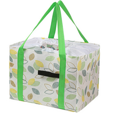 아이디얼 피크닉 보온 보냉 캠핑 대용량 가방, 그린, 1단