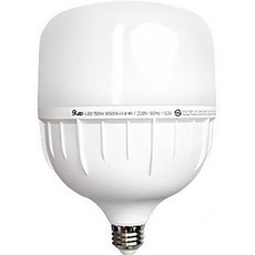 Gunsik GS LED 保安燈 E26 高瓦數燈泡 50W, 晝光色, 1個