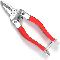 Smart Living 紅色手柄直刃園藝剪刀 小, 1個