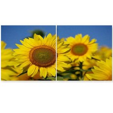 Synt 招福向日葵雙聯帆布畫框 8