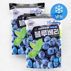 호재준 미국산 블루베리 (냉동), 500g, 2개