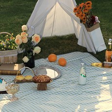 RaonToU 攜帶式防水野餐墊, 05 淺綠細格紋