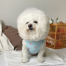 bydamsoomi 小狗愛心點點涼爽背心, 藍色