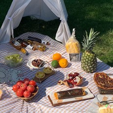 RaonToU 攜帶式防水野餐墊, 06 米色細格紋