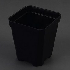 迷你彩色方形塑膠花盆, 黑色
