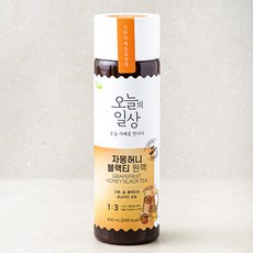 오늘의일상 자몽허니블랙티 원액, 400ml, 1개