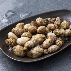 생물 오만둥이 남해안 산지직송 (냉장), 500g, 1개