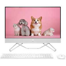 HP 올인원 일체형 PC 스타리 화이트 (i5-1135G7 60.5cm WIN11 Home RAM 8GB NVMe 512GB), 24-df1099KR, 기본형