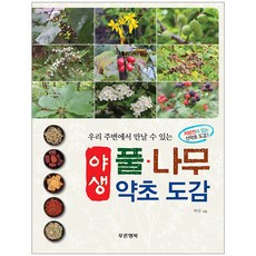 Pureunhaengbok 我們周遭的野生花草·樹木藥草圖鑑, 藥山