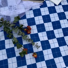 DALLOA 加厚大型防水地墊 野餐墊, 藍色格紋