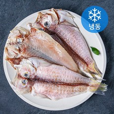 제주어부 제주 용암해수 참옥돔 (냉동), 160g, 3개