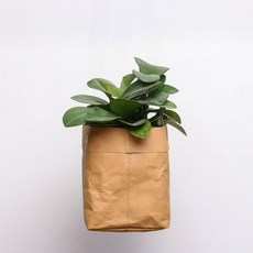 바이아 방수 크래프트 종이 화분커버, 브라운