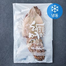 신건호멸치 동해안 반건조 오징어 10마리 (냉동), 1kg 내외, 1봉