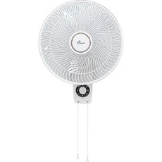 Hanil Electric 壁掛式電風扇 40cm FW-A1445, FW-1445