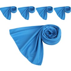 Clara 神奇冰感運動毛巾 5入, 天空藍