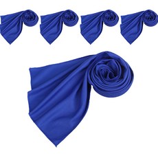 Clara 神奇冰感運動毛巾 5入, 深藍色