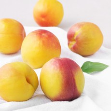 아주마 산지직송 영동 플럼코트, 500g, 1팩