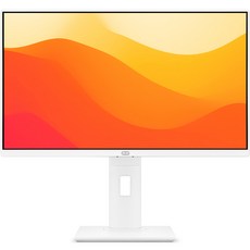 RIT 27A 사무용 일체형 PC RT-AIO27004 (셀러론-N5095 68.5cm WIN11 Pro RAM 8GB SSD 512GB), 512GB