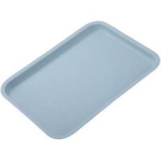 미빌 베이직 모던 트레이, 블루