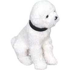 메이징초이스 강아지 미니어처, D