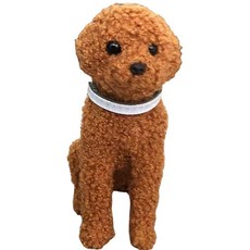 메이징초이스 강아지 미니어처, C