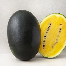 산지직송 드림팜 망고수박, 4kg 미만, 1개