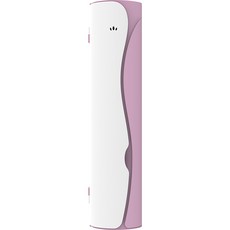 유토렉스 블라썸 무선 휴대용 칫솔 살균기 C타입, UTC-32, 피치