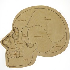 Stukapuka蒙特梭利頭部拼圖, 1個