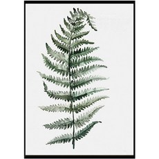 Modern G 令人心情愉悅的現代簡約植物畫 H YJ026, 黑木色