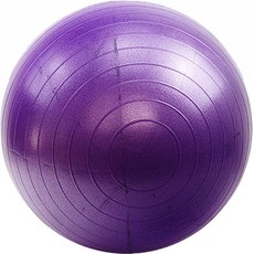 TJ Company平衡感覺健身球, 紫色
